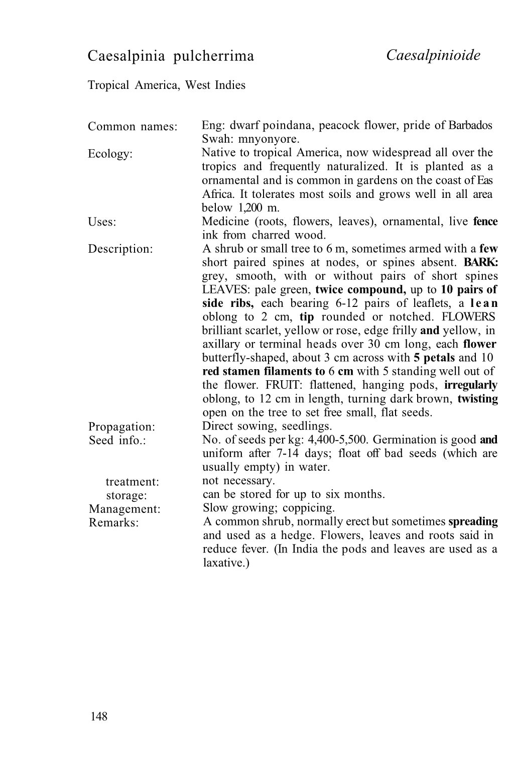 Caesalpinia Pulcherrima Caesalpinioide