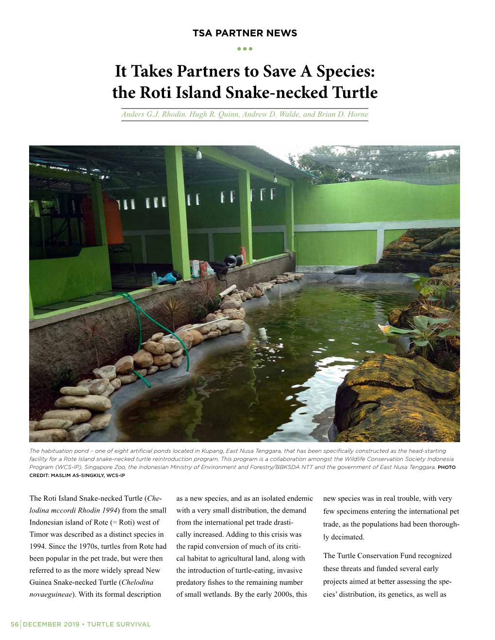 The Roti Island Snake-Necked Turtle Anders G.J