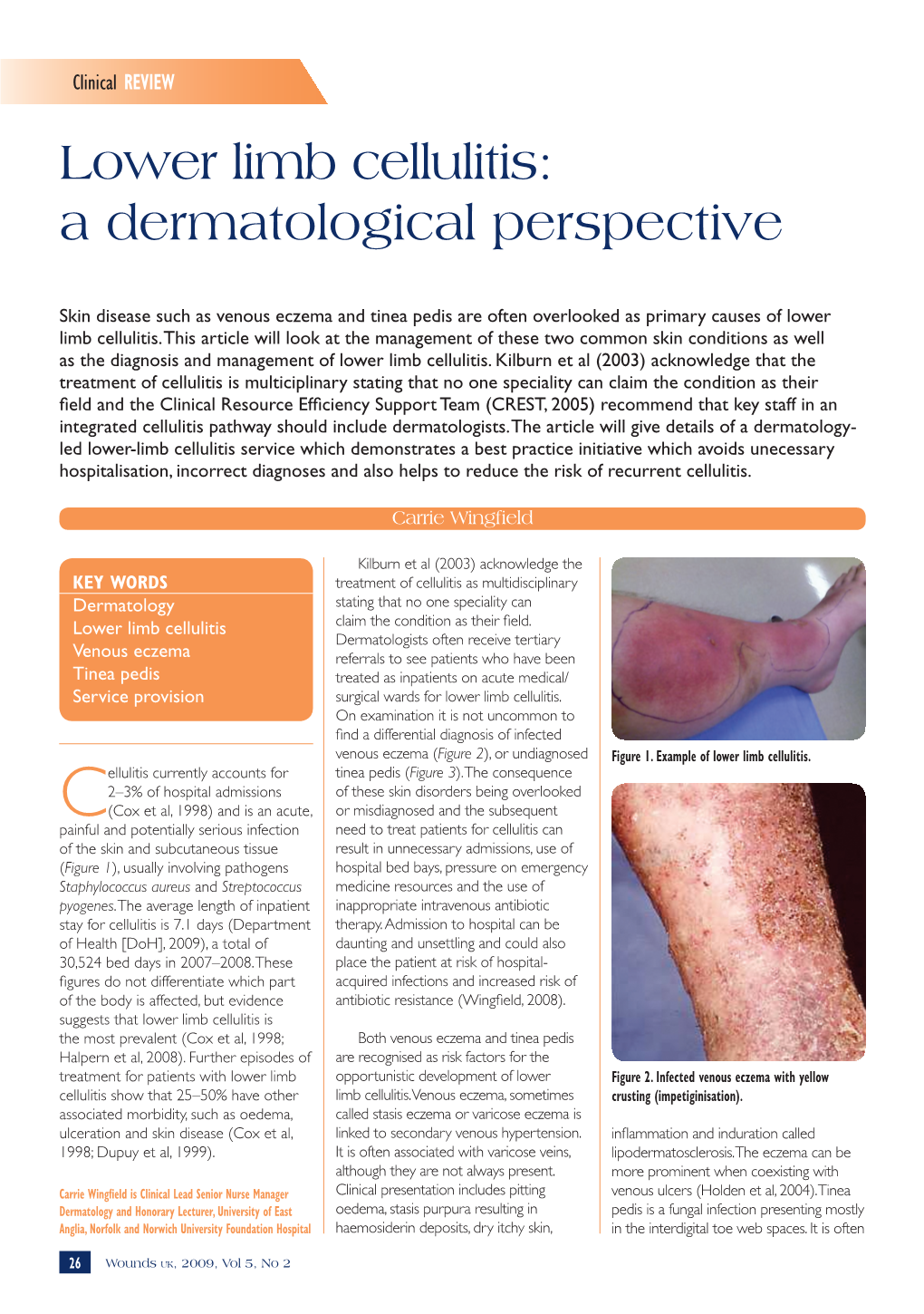 Lower Limb Cellulitis: a Dermatological Perspective