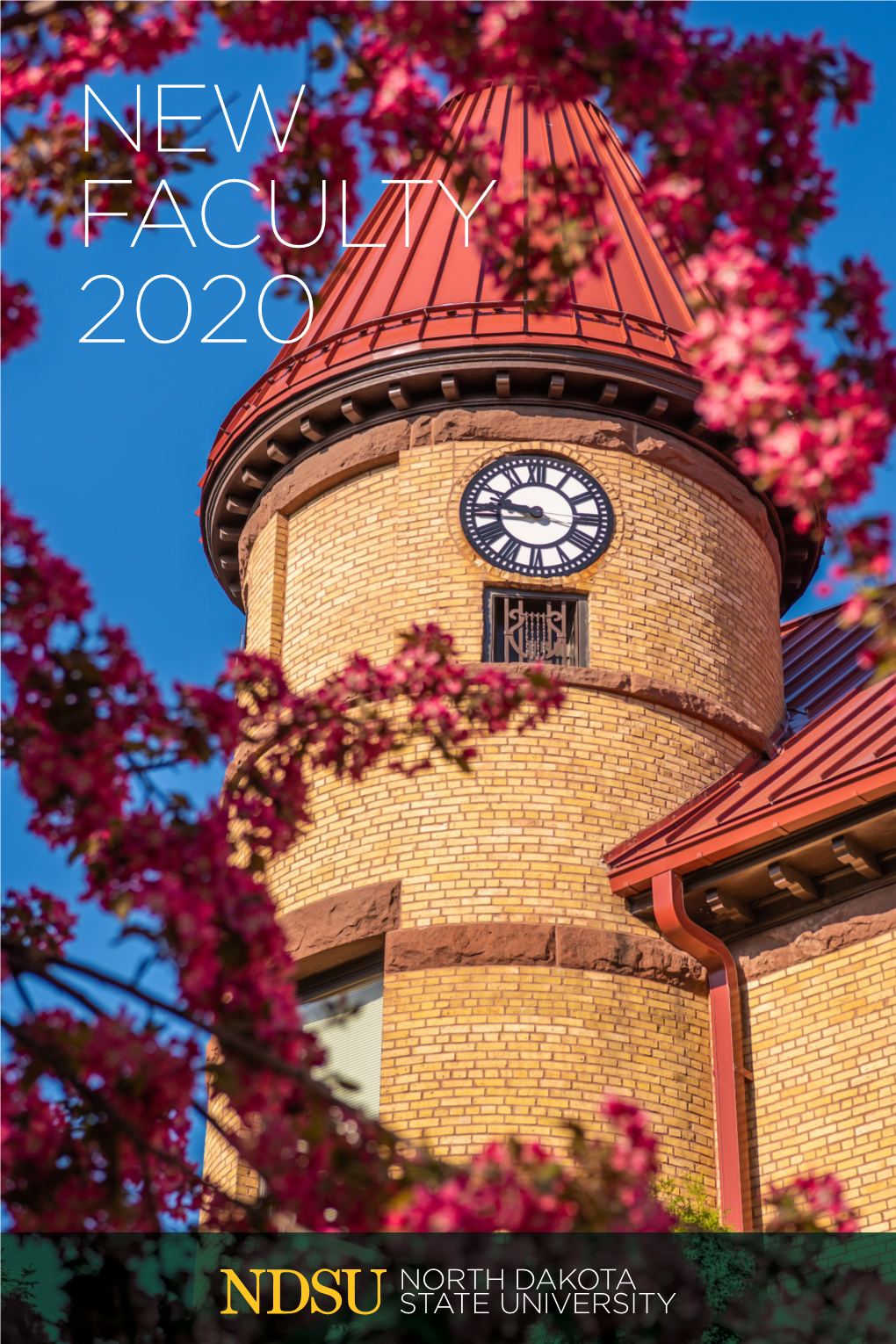 NEW FACULTY 2020 a Message from President Bresciani