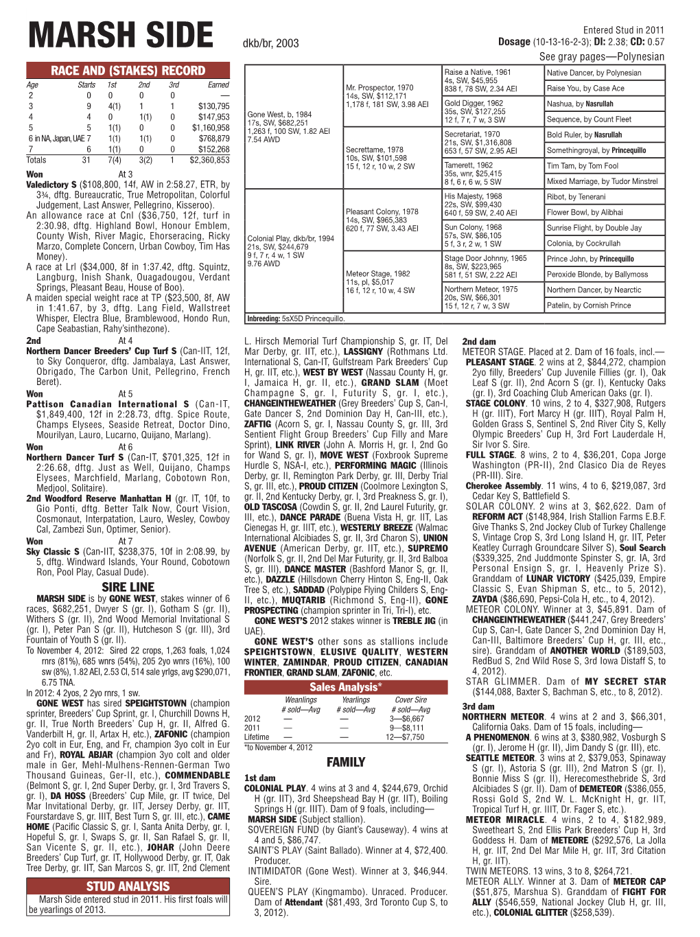 Race and (Stakes) Record Sire Line Family Stud Analysis