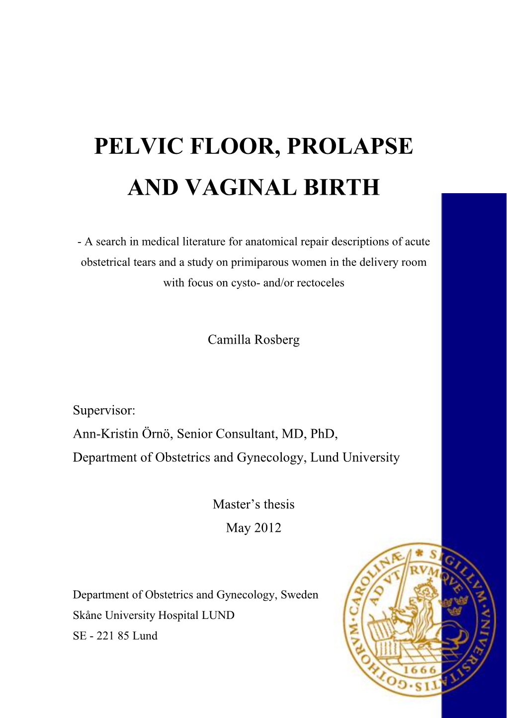 Pelvic Floor, Prolapse and Vaginal Birth