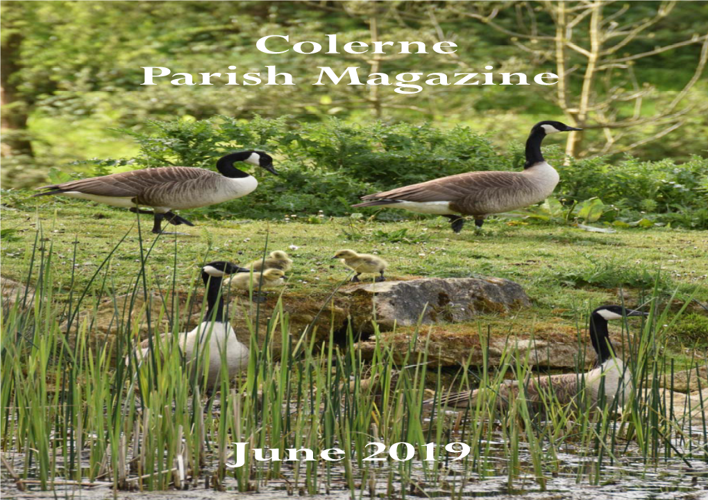 19-06 June Issue 40 Pages.Pub