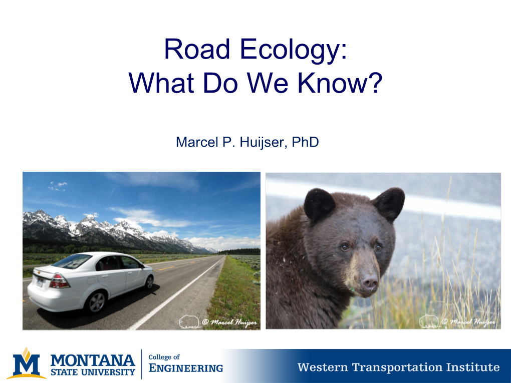 Road Ecology: What Do We Know?