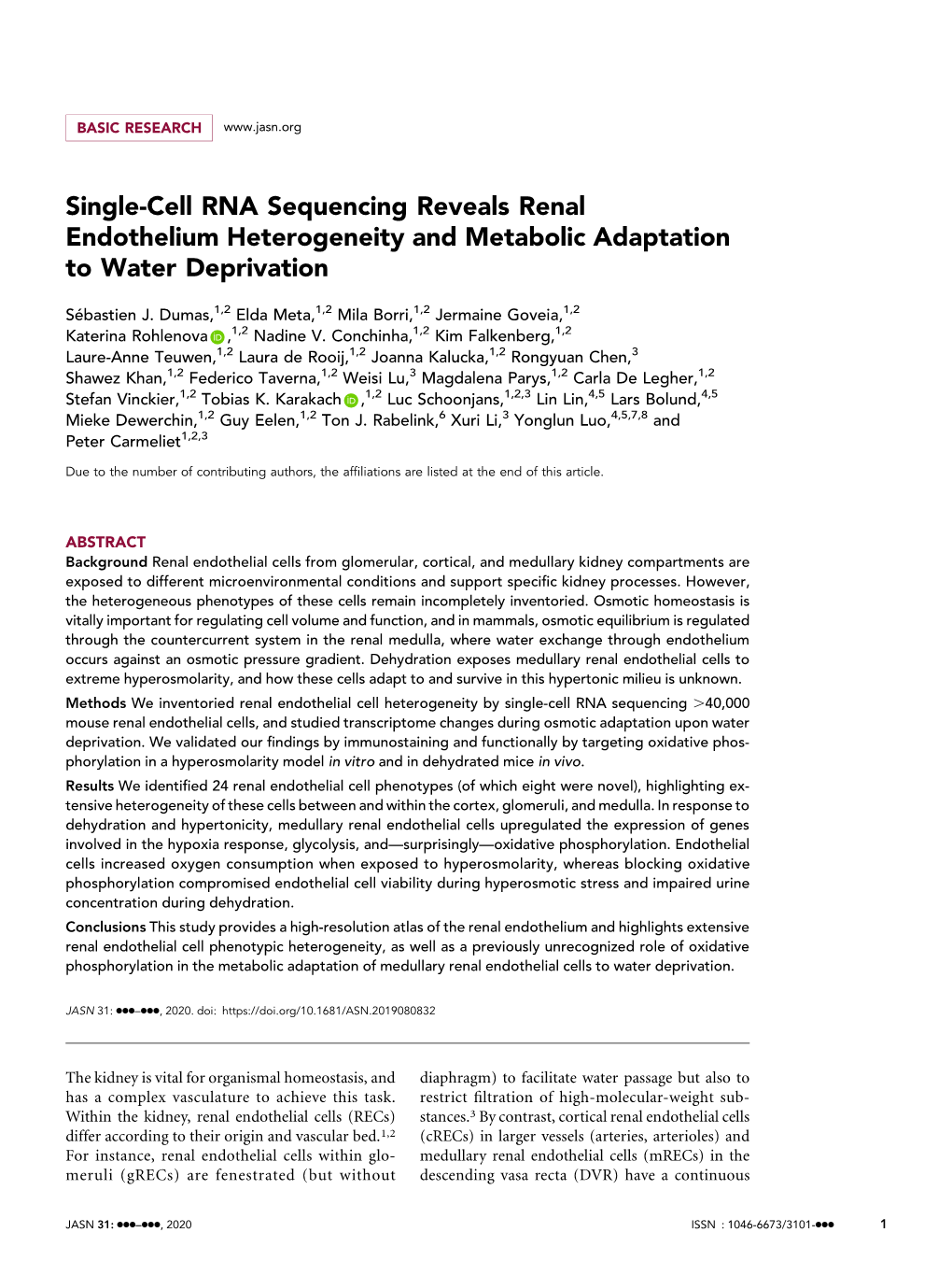 Single-Cell RNA Sequencing Reveals Renal Endothelium Heterogeneity and Metabolic Adaptation to Water Deprivation