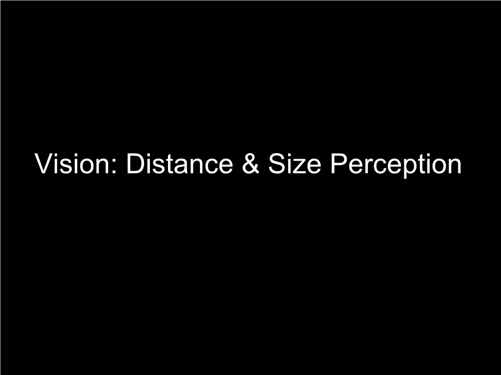 Vision: Distance & Size Perception