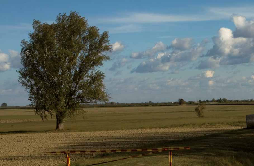 Alfonsine Works That His Son Alfonso Continued to Carry Out; the Son How to Get There Called the Reclaimed Lands "Le Alfonsine"