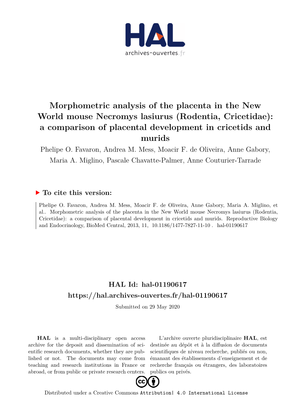 Morphometric Analysis of the Placenta in the New World Mouse Necromys Lasiurus (Rodentia, Cricetidae): a Comparison of Placental