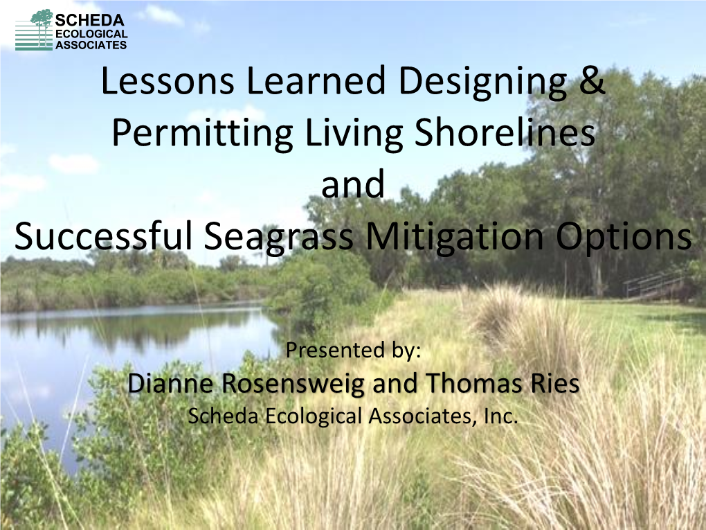 Lessons Learned Designing & Permitting Living Shorelines And