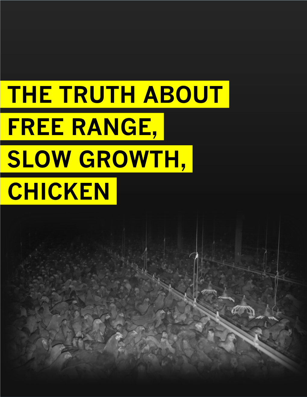 The Truth About. Free Range,. Slow Growth,. Chicken. Executive Summary 2