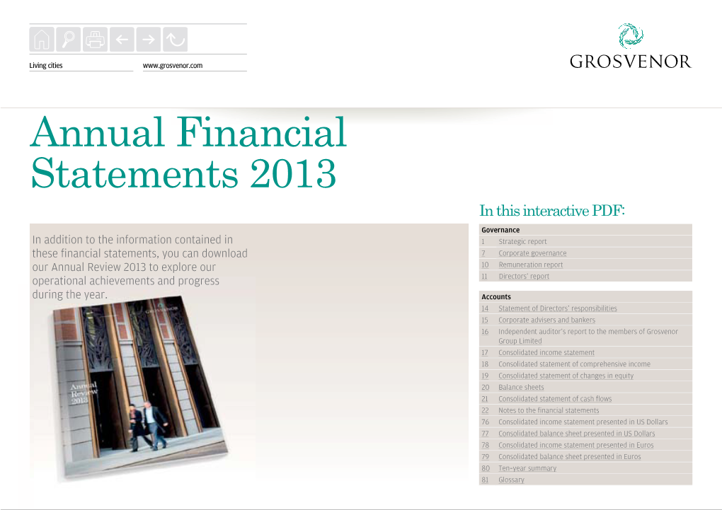 Annual Financial Statements 2013