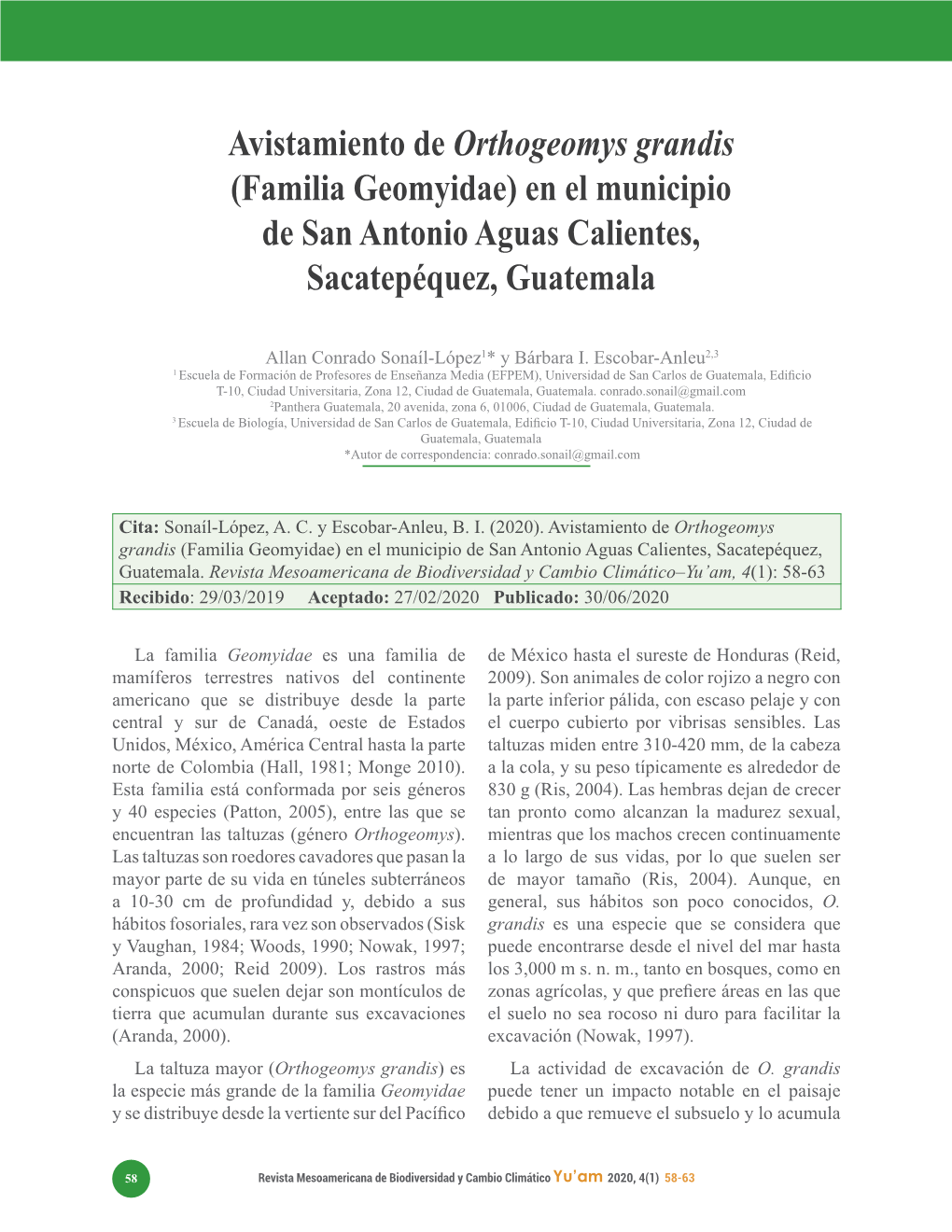 Avistamiento De Orthogeomys Grandis (Familia Geomyidae) En El Municipio De San Antonio Aguas Calientes, Sacatepéquez, Guatemala