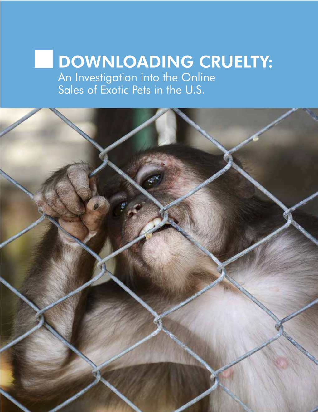 DOWNLOADING CRUELTY: an Investigation Into the Online Sales of Exotic Pets in the U.S