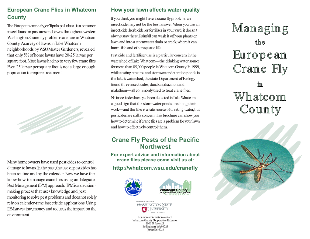 Managing European Crane Fly Whatcom County