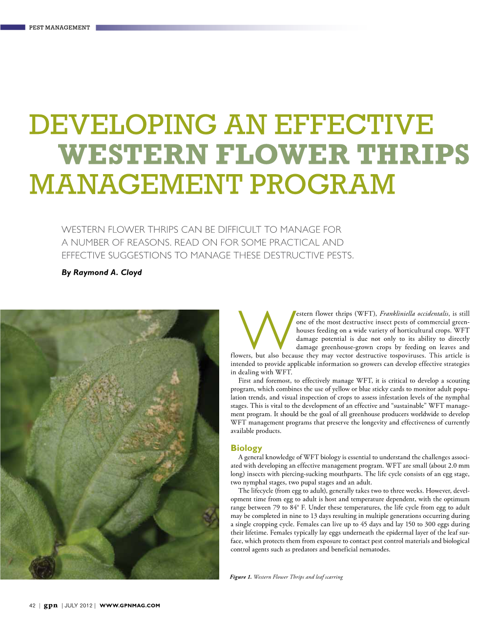 Western Flower Thrips Management Program