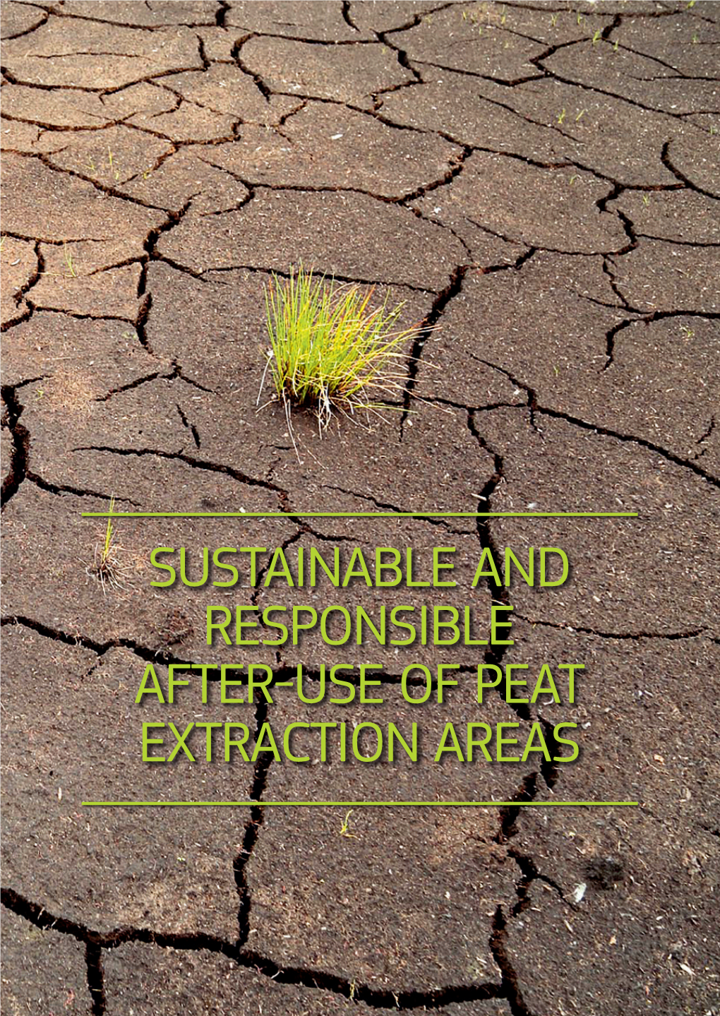 Sustainable and Responsible After-Use of Peat Extraction Areas