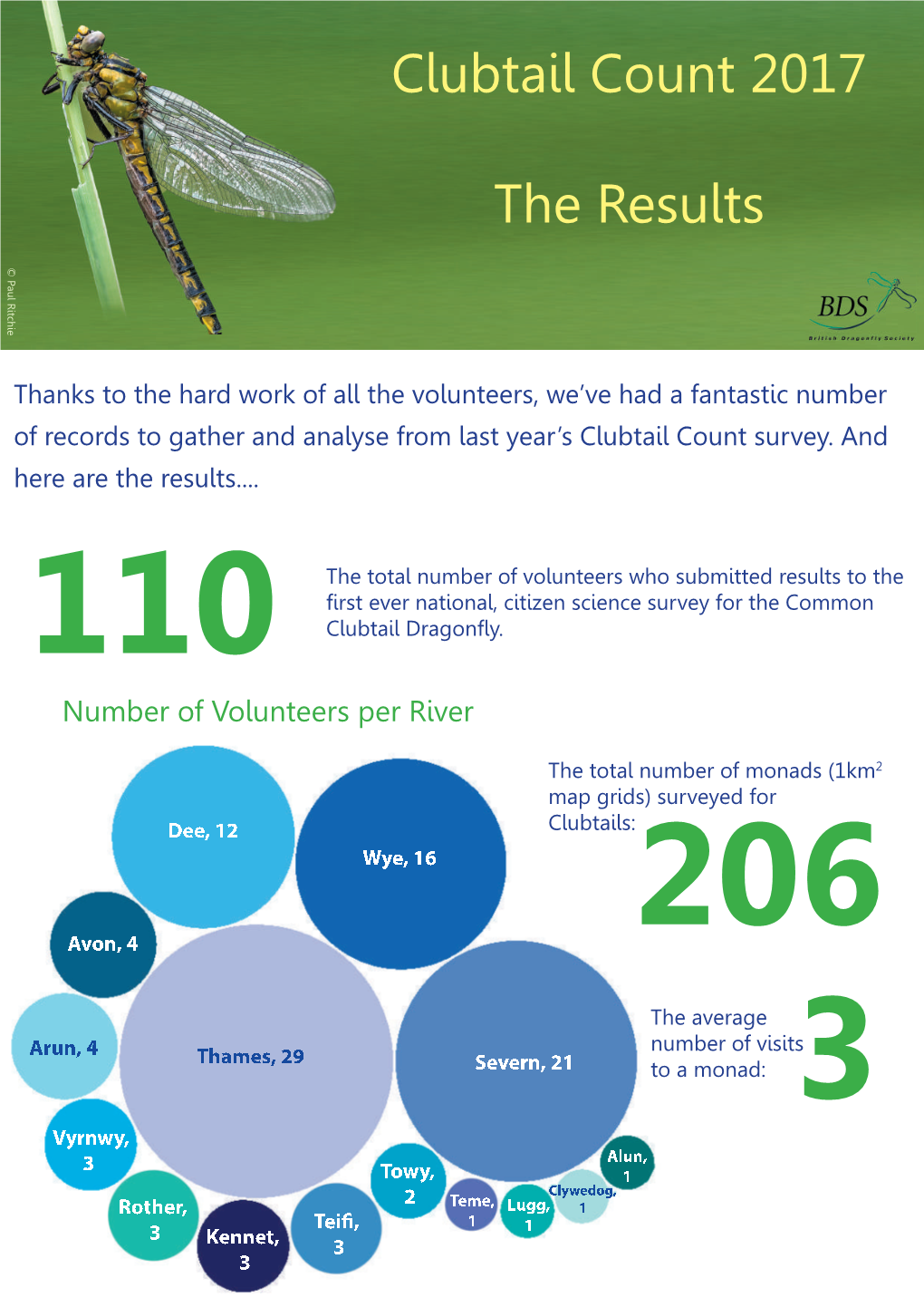 Clubtail Count 2017 the Results