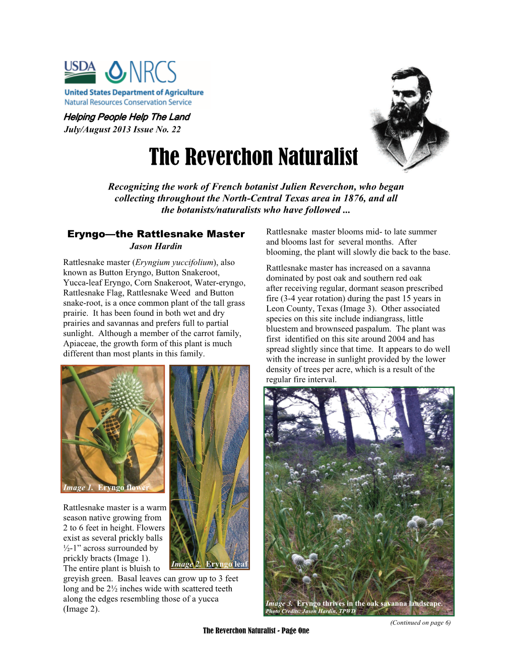 The Reverchon Naturalist