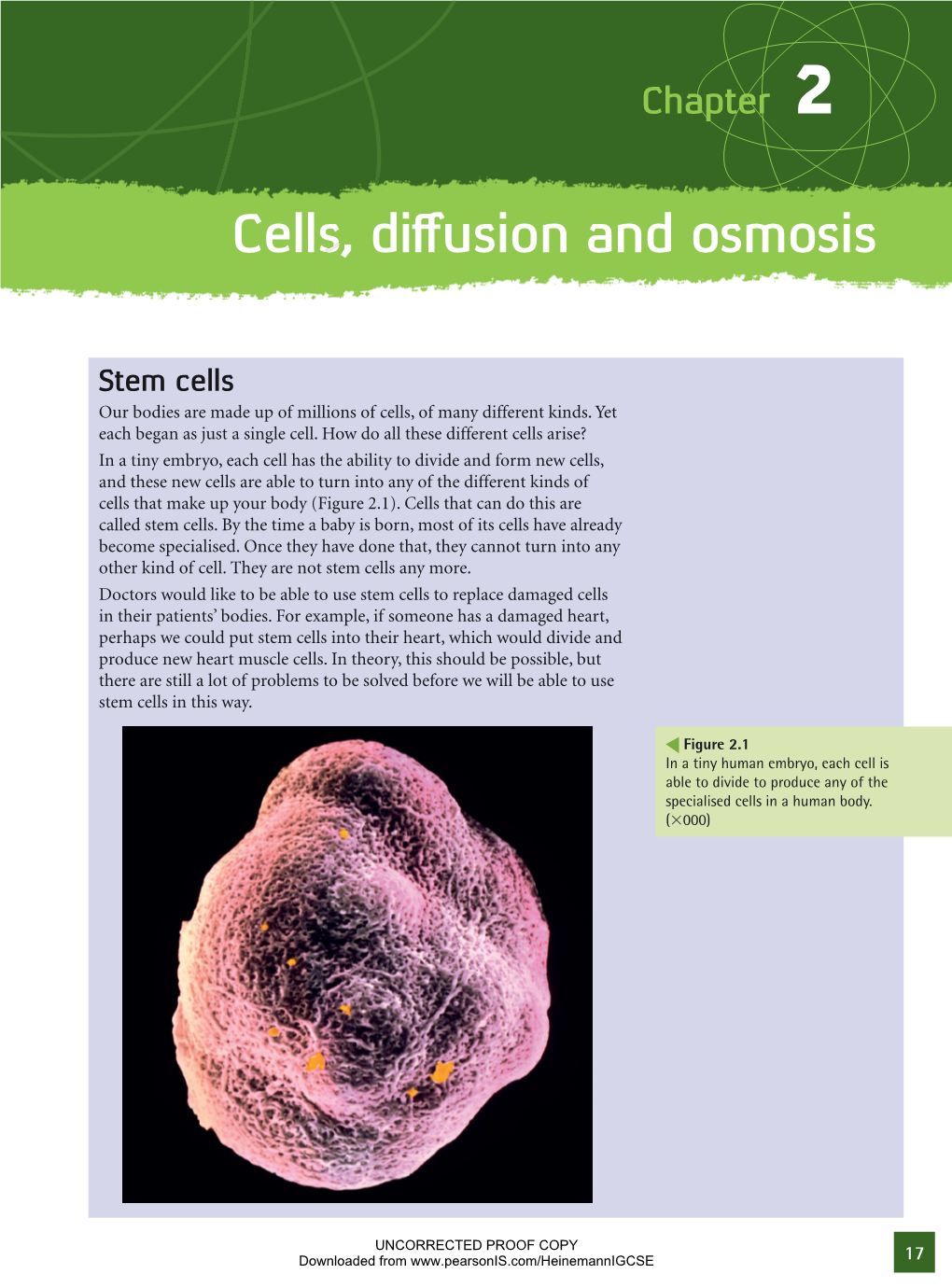 Cells, Diffusion and Osmosis
