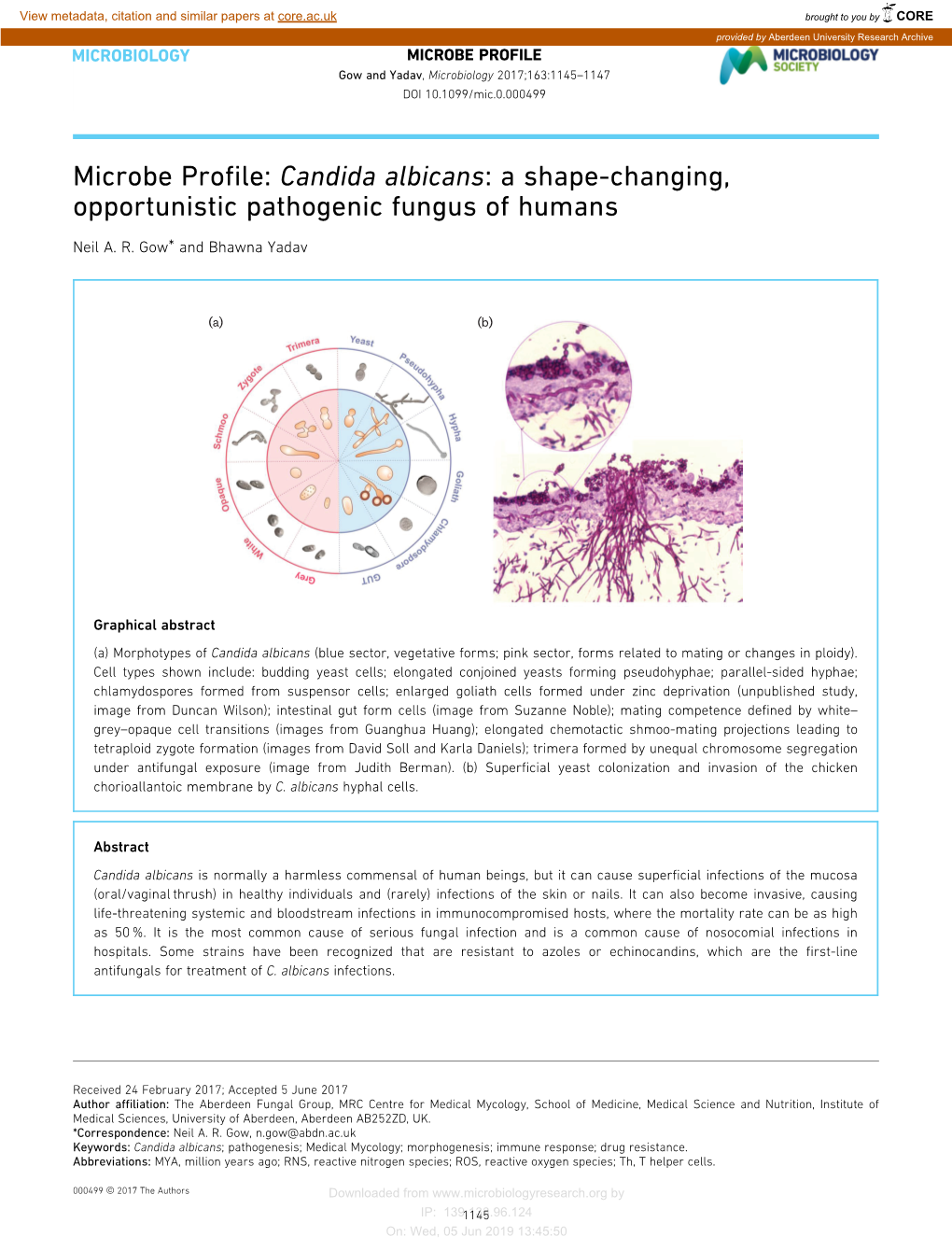 Candida Albicans: a Shape-Changing, Opportunistic Pathogenic Fungus of Humans