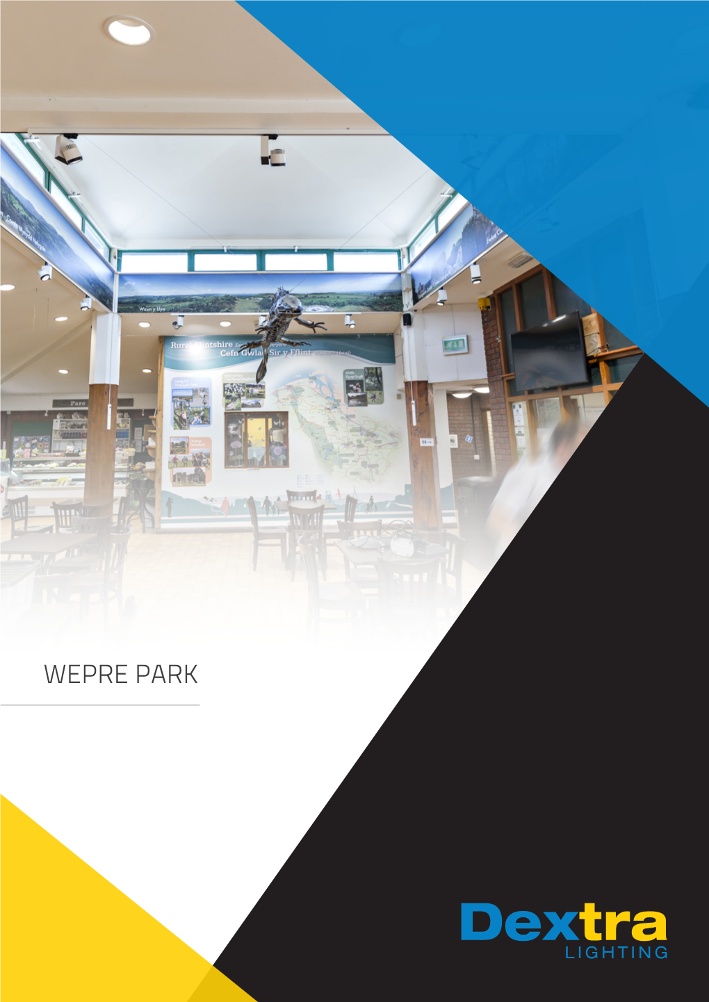 Wepre Park About the Client