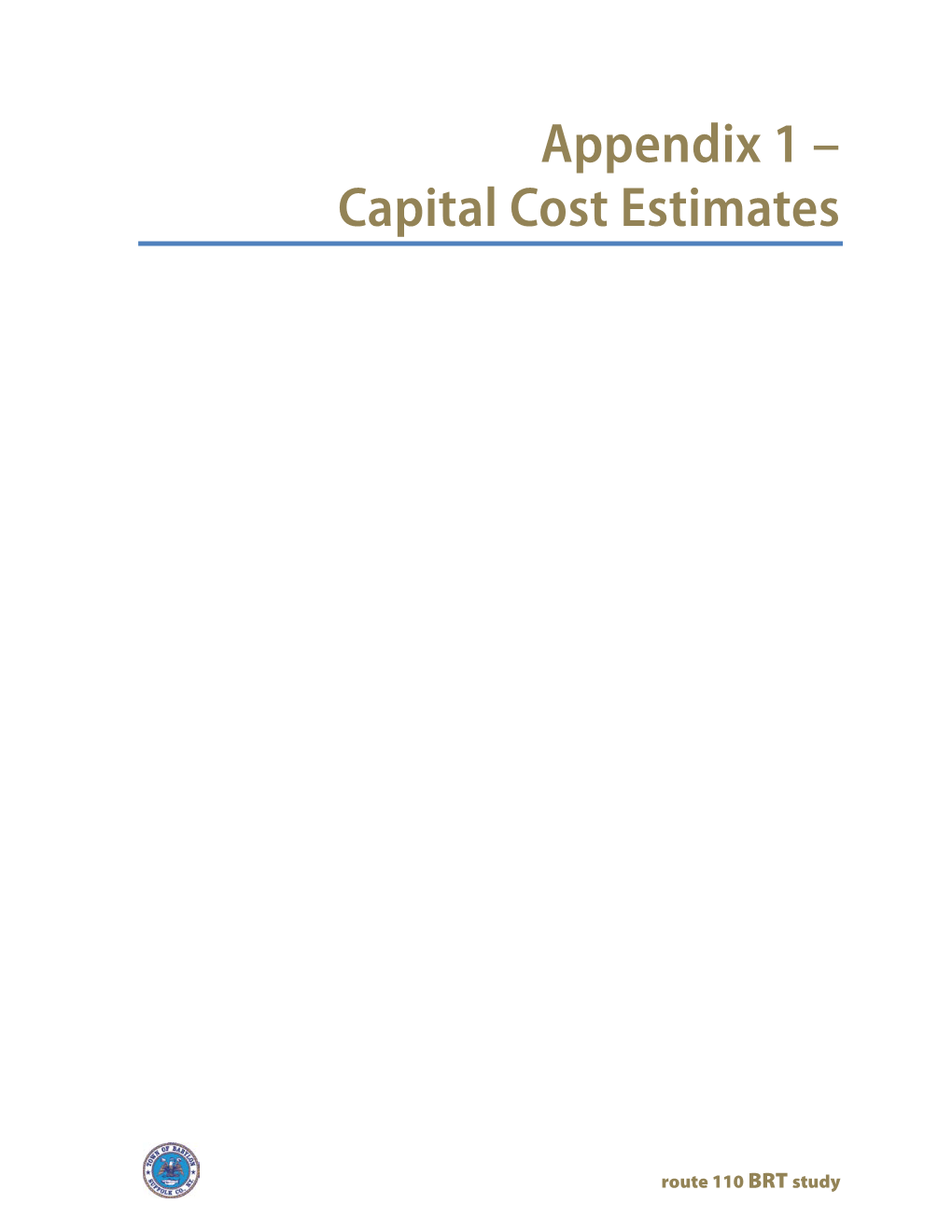 Appendix 1 – Capital Cost Estimates