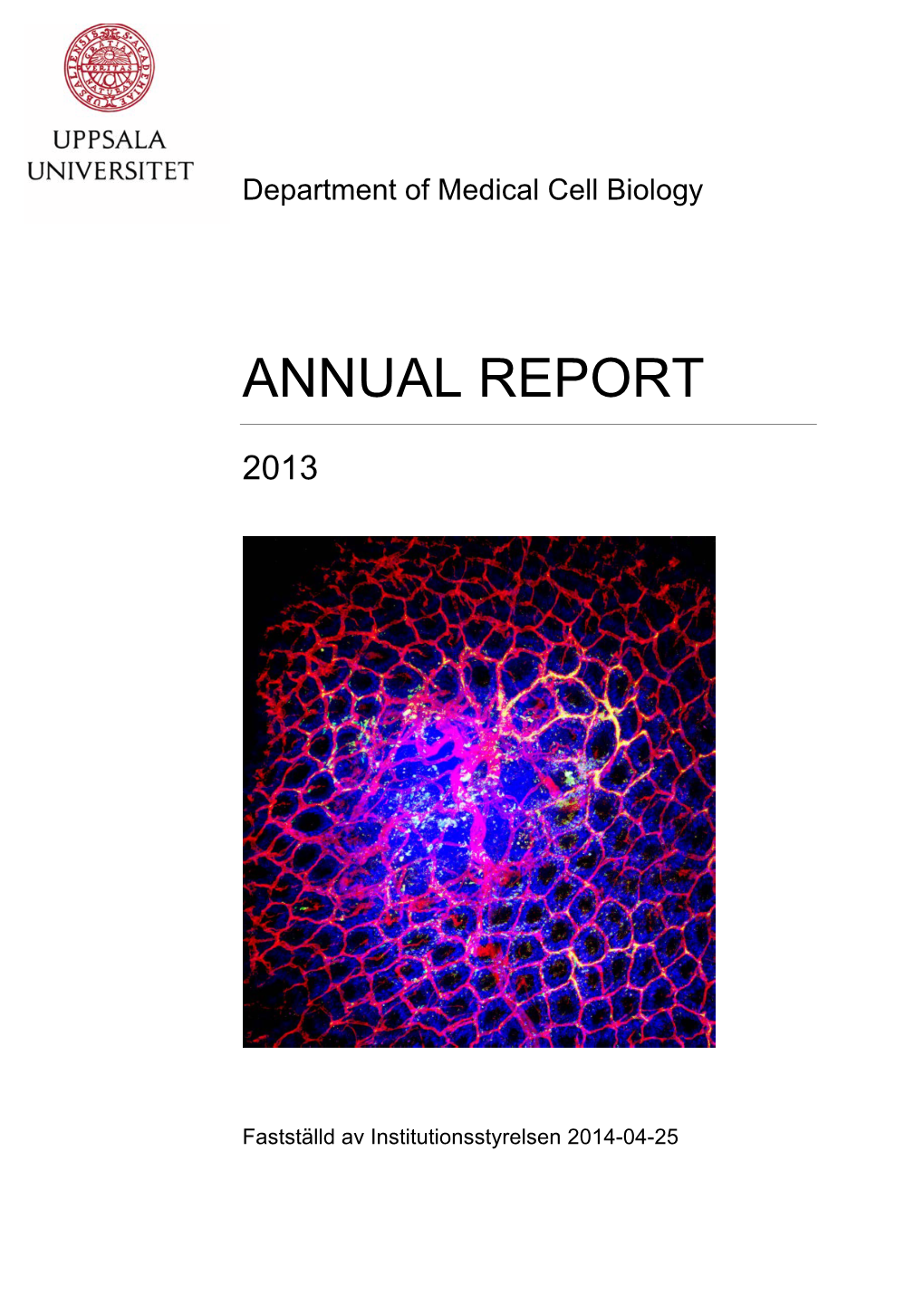 Annual Report 2013 Red-4