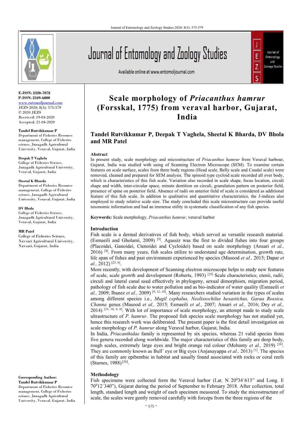 Scale Morphology of Priacanthus Hamrur (Forsskal, 1775) from Veraval Harbor, Gujarat, India