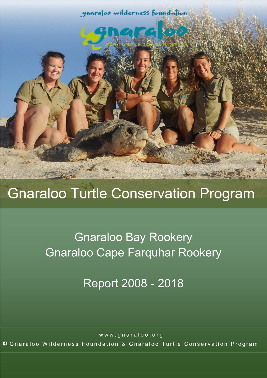 GWF Turtle Report 2008