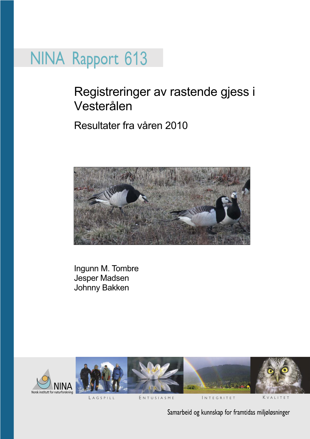 Registreringer Av Rastende Gjess I Vesterålen