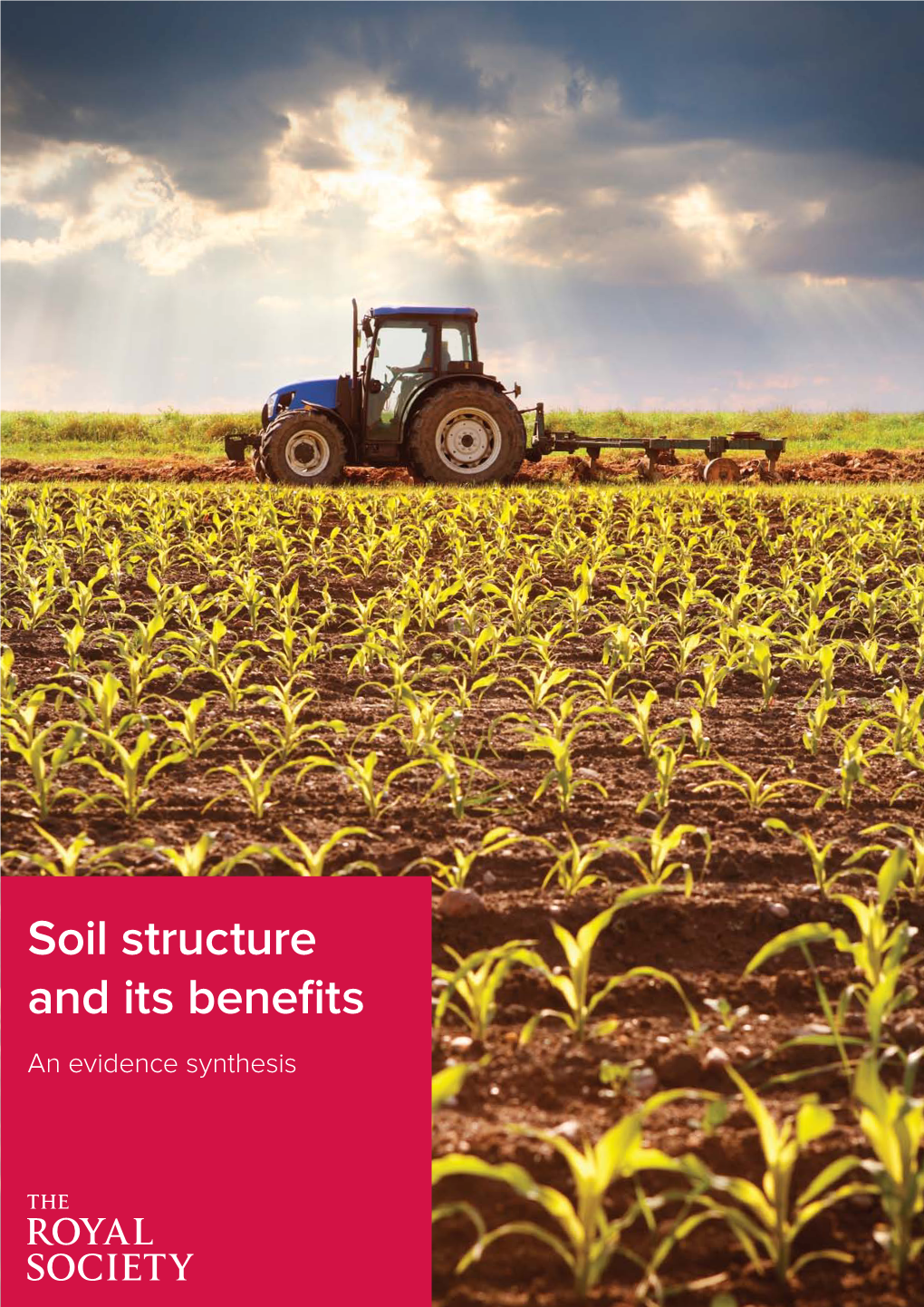 Soil Structure and Its Benefits an Evidence Synthesis CONTENTS