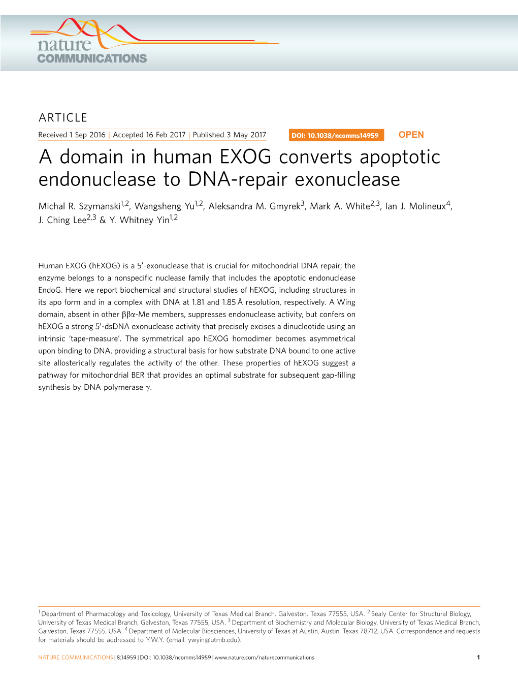 A Domain in Human EXOG Converts Apoptotic Endonuclease to DNA-Repair Exonuclease