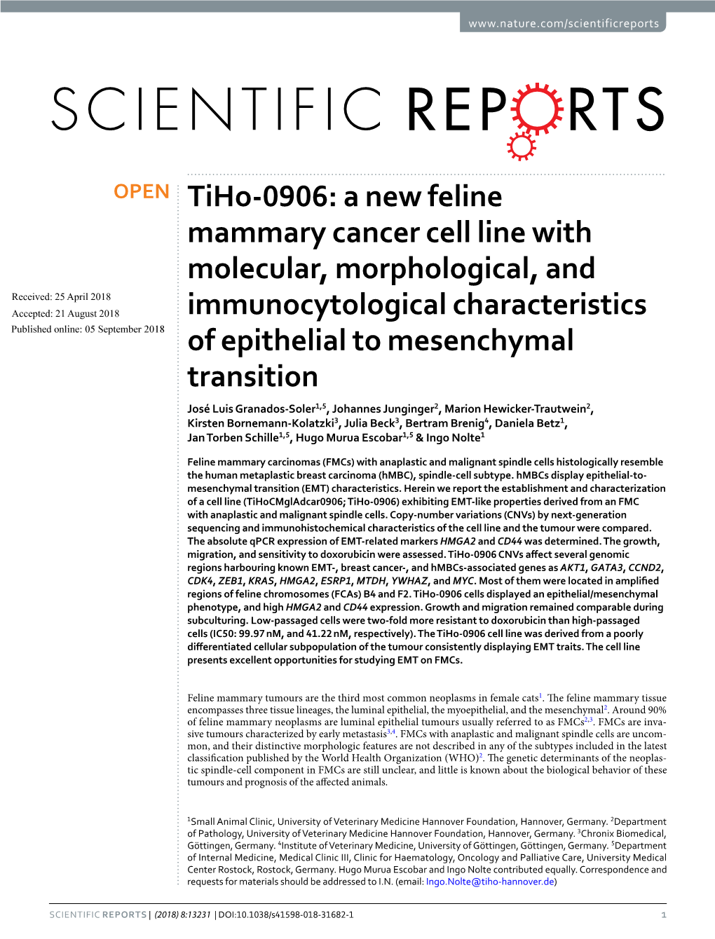 A New Feline Mammary Cancer Cell Line with Molecular, Morphological, And