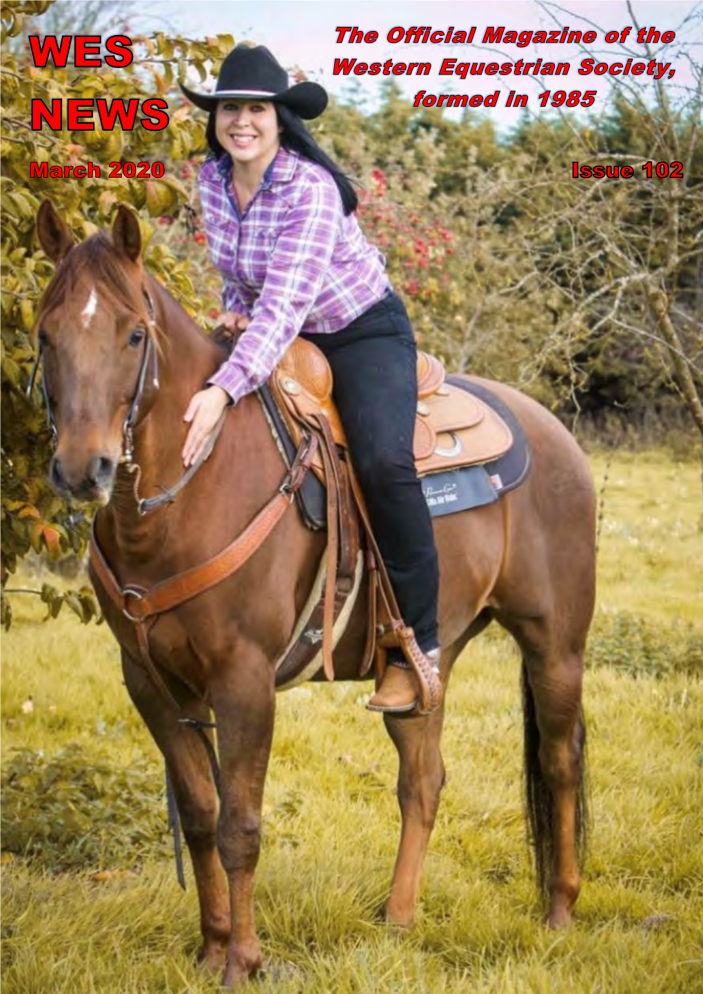 The Western Equestrian Society Area 8 Annual Summer Training Camp: At