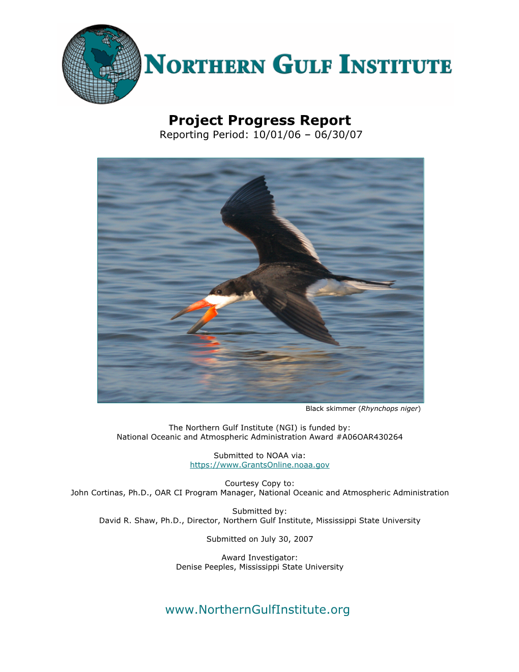 NGI Progress Report 2007