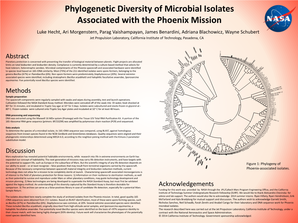 Phylogenetic Diversity of Microbial Isolates
