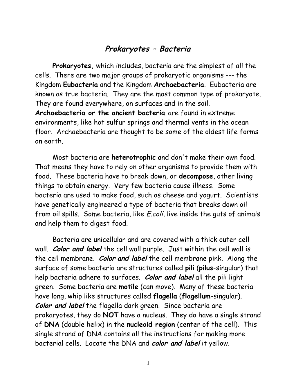 Prokaryotes Bacteria