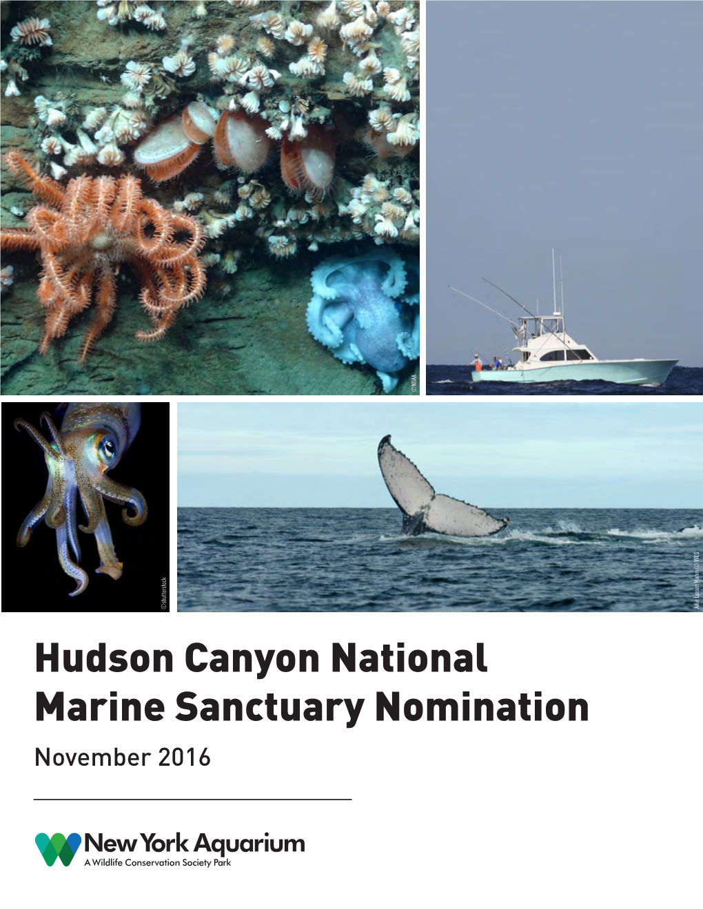 Hudson Canyon National Marine Sanctuary Nomination November 2016