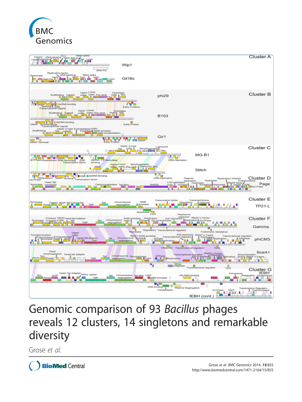 Genomic Comparison of 93 Bacillus Phages Reveals 12 Clusters, 14 Singletons and Remarkable Diversity Grose Et Al