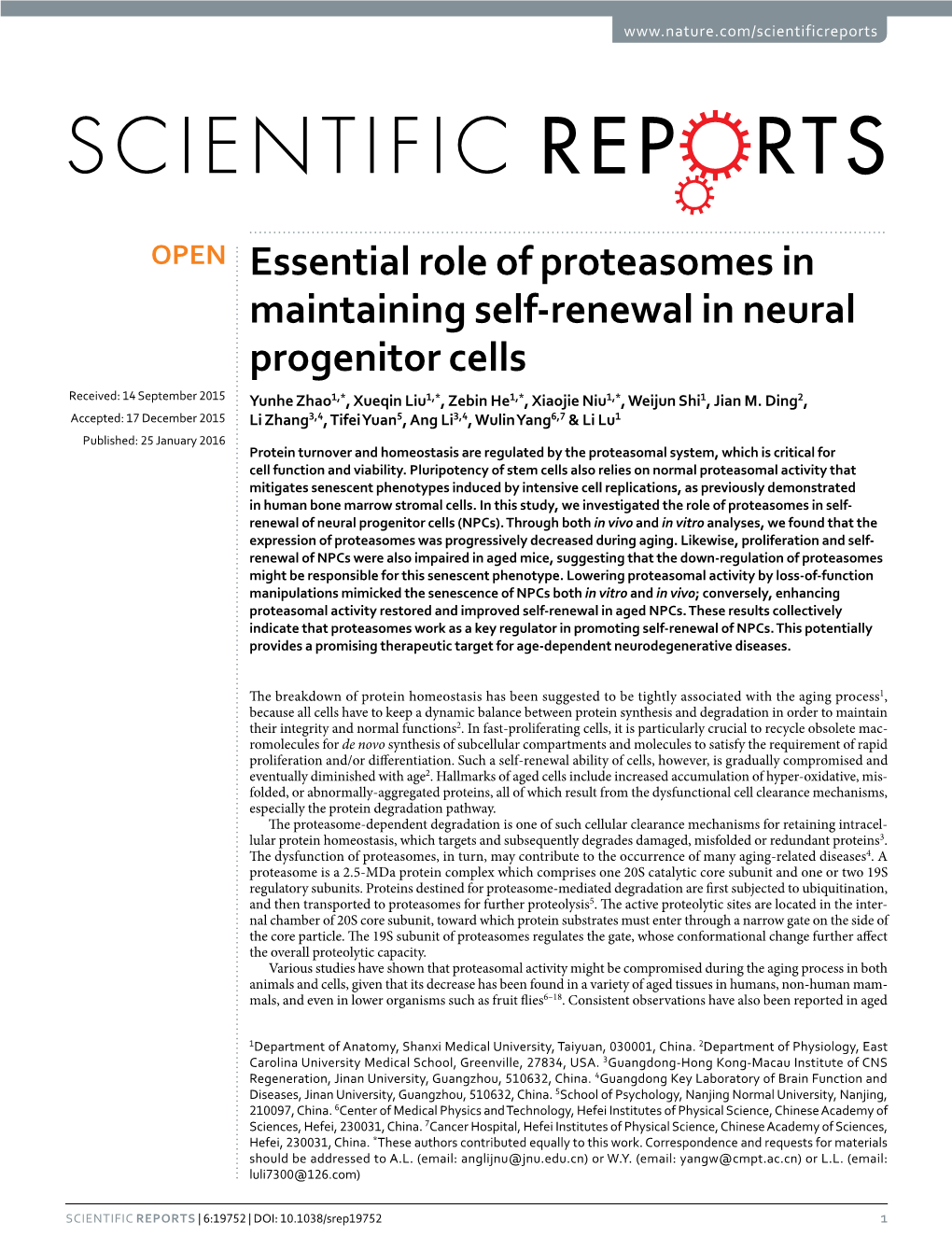 Essential Role of Proteasomes in Maintaining Self-Renewal in Neural