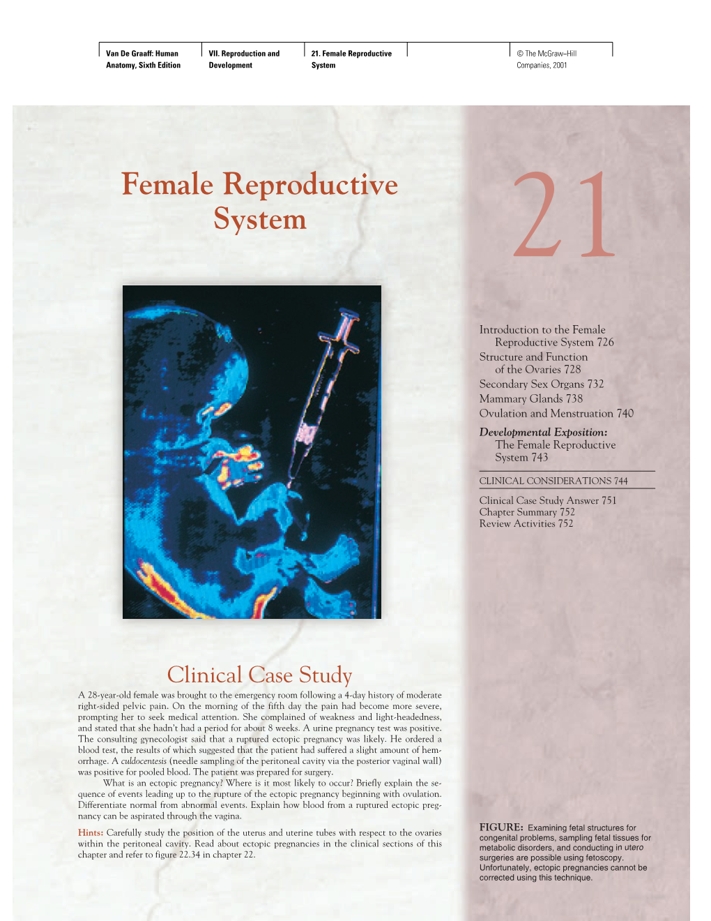 Female Reproductive System 21