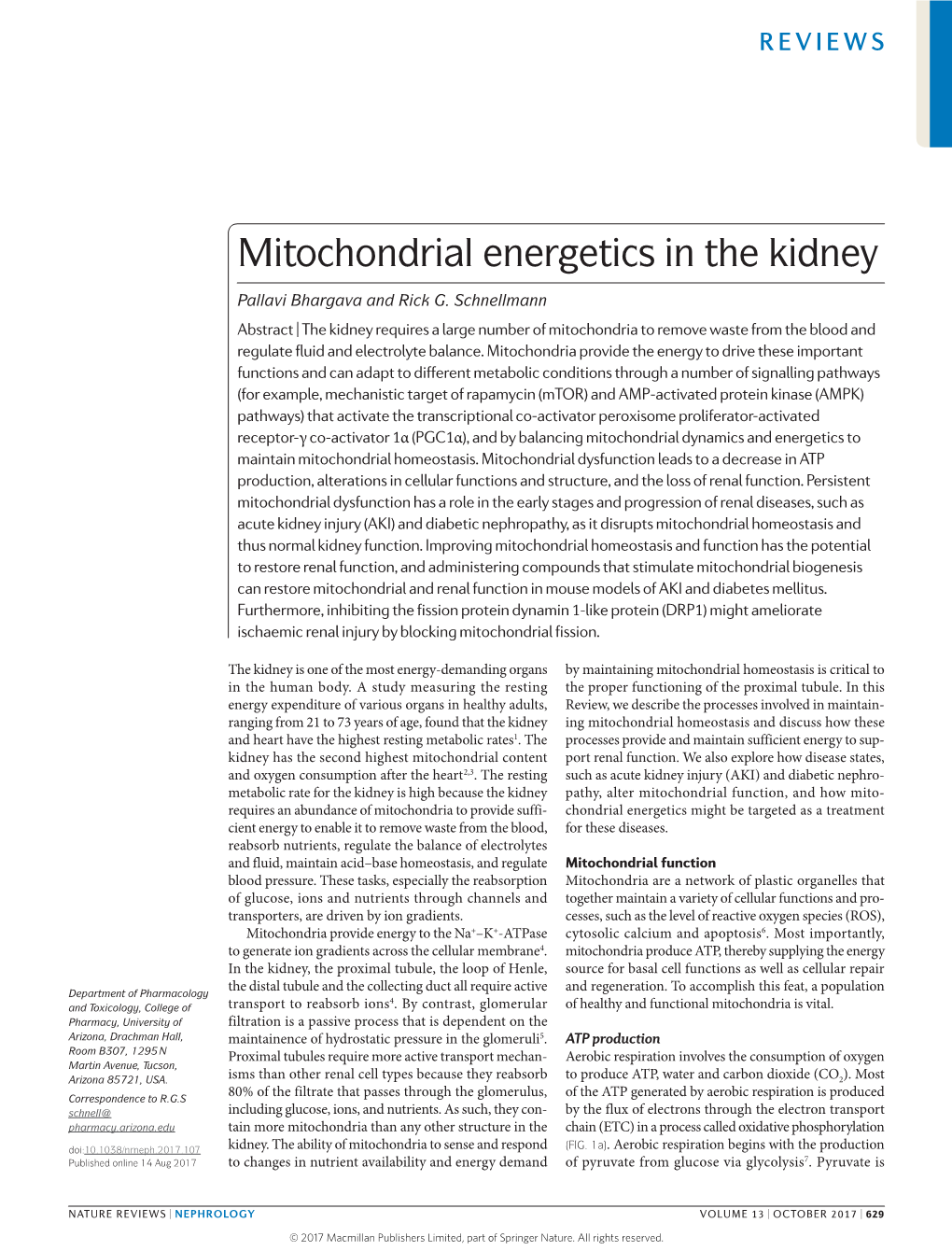 Mitochondrial Energetics in the Kidney