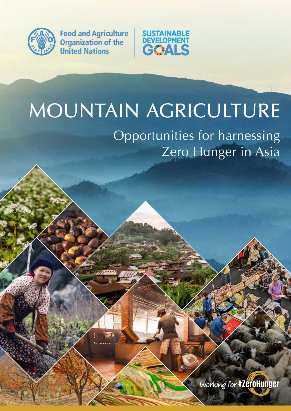 Mountain Agriculture: Opportunities for Harnessing Zero Hunger in Asia