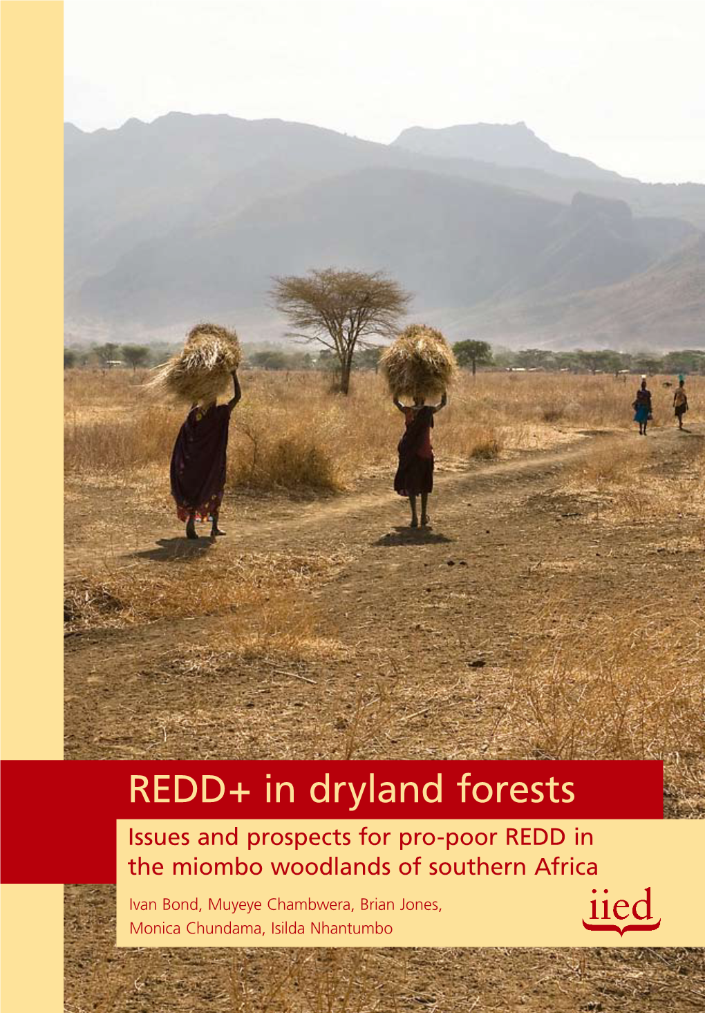 REDD+ in Dryland Forests