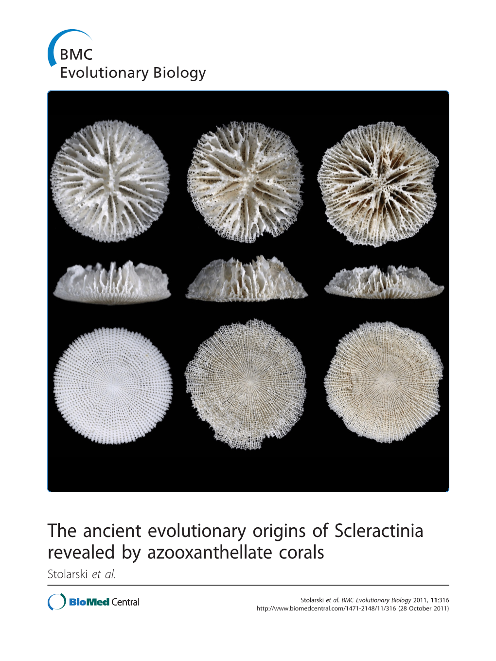 The Ancient Evolutionary Origins of Scleractinia Revealed by Azooxanthellate Corals Stolarski Et Al