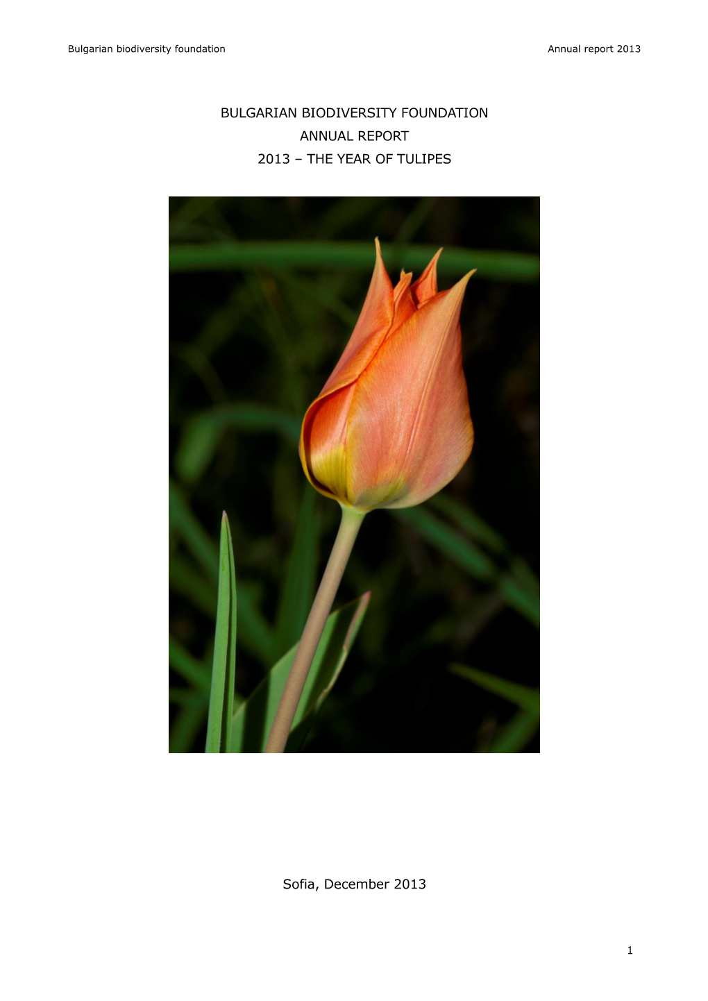 Bulgarian Biodiversity Foundation Annual Report 2013