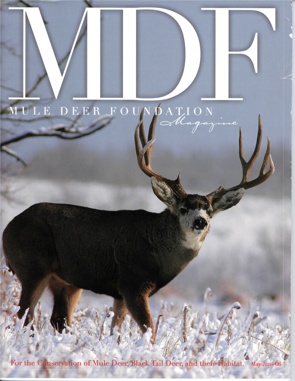 Mule-Deer-Magazine-June-2006.Pdf