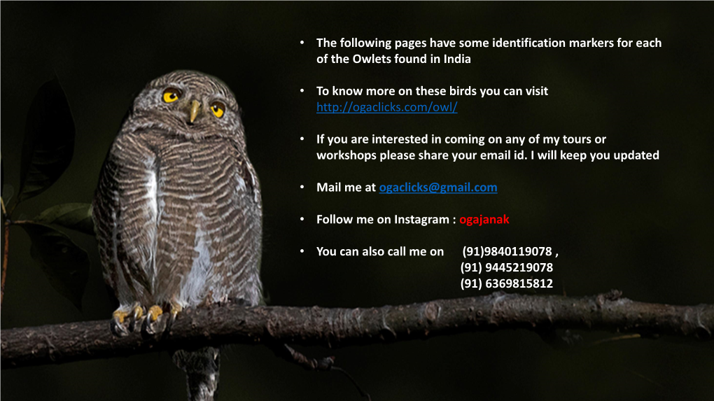 • the Following Pages Have Some Identification Markers for Each of the Owlets Found in India