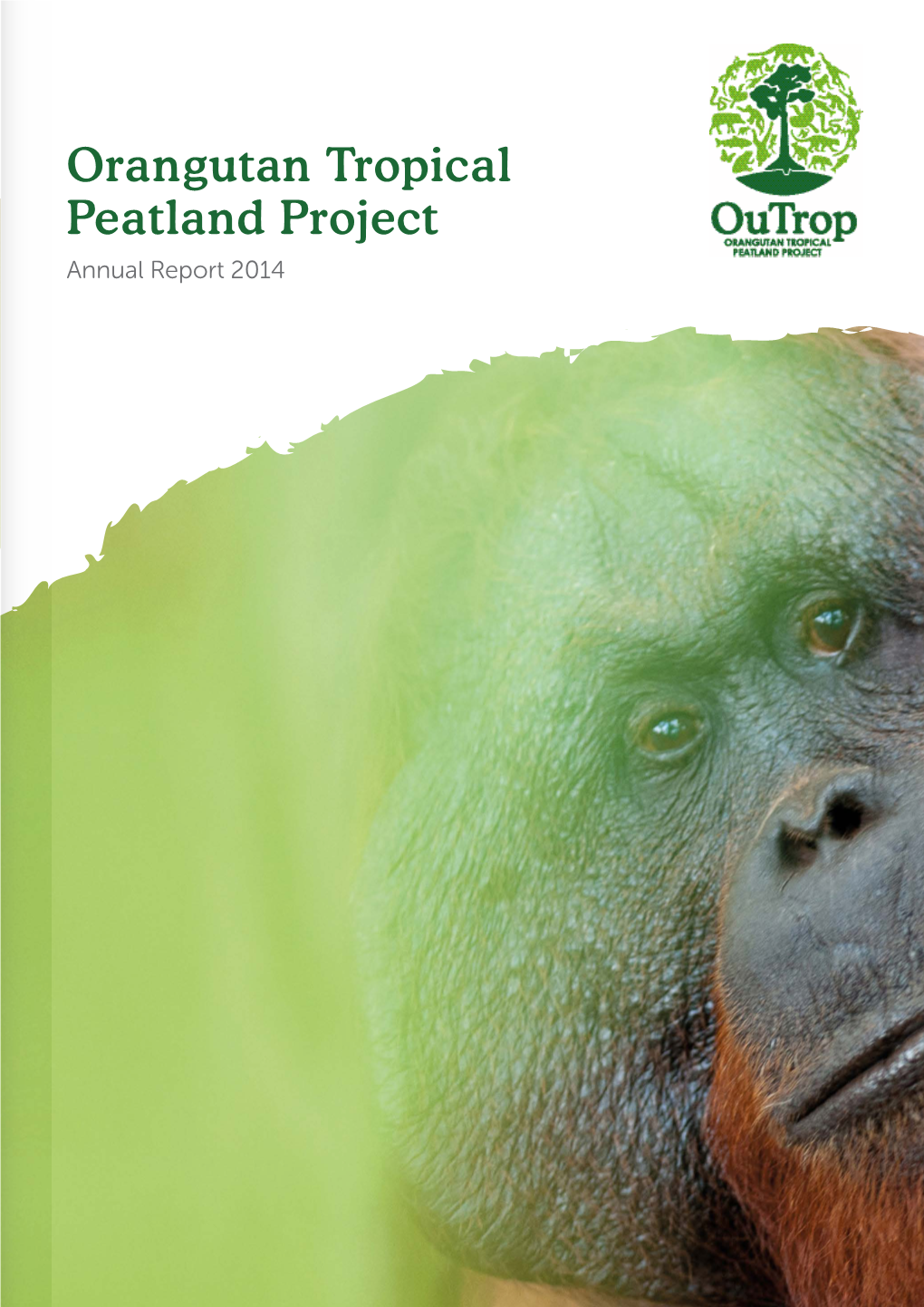 Orangutan Tropical Peatland Project Annual Report 2014 CONTENTS