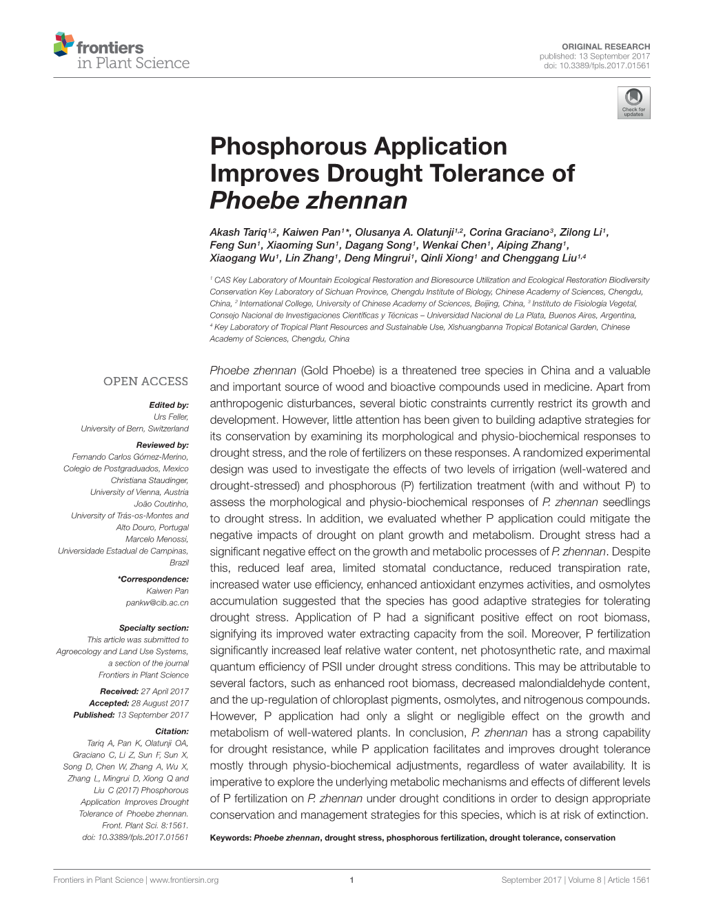 Phosphorous Application Improves Drought Tolerance of Phoebe Zhennan